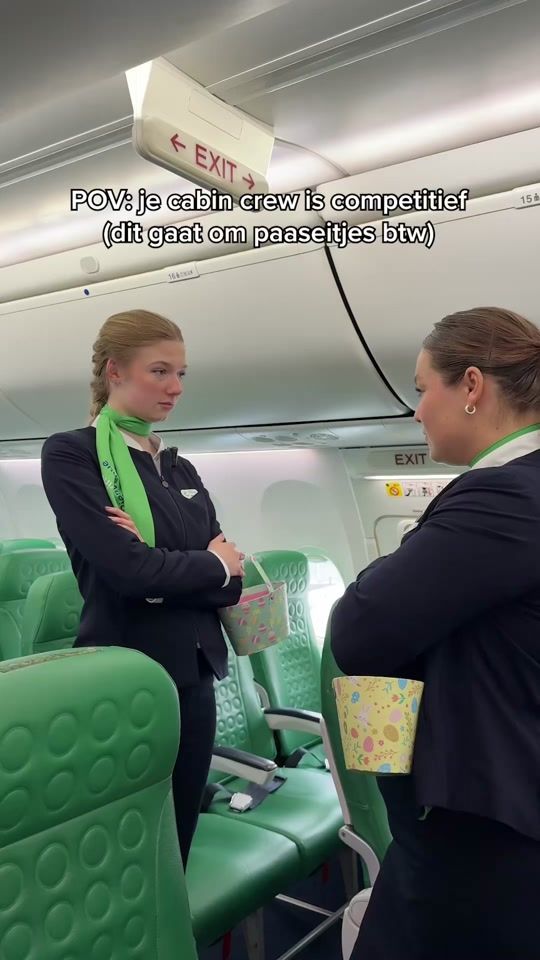 TikTok video thumbnail by transavianl