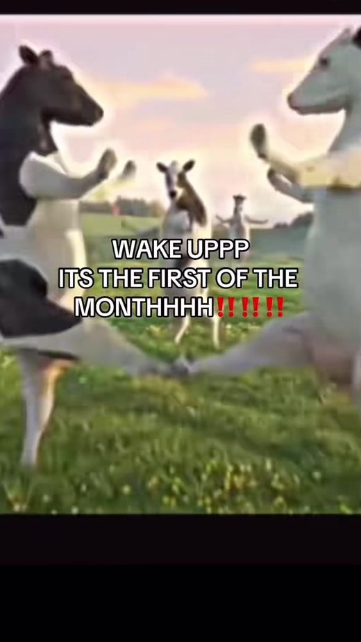 TikTok video thumbnail by funnycontentsss