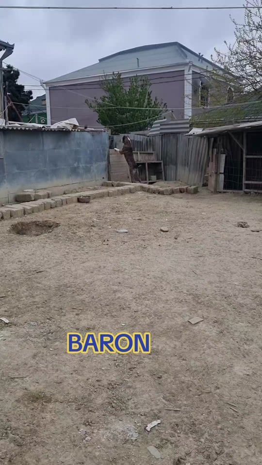 TikTok video thumbnail by abbass.546