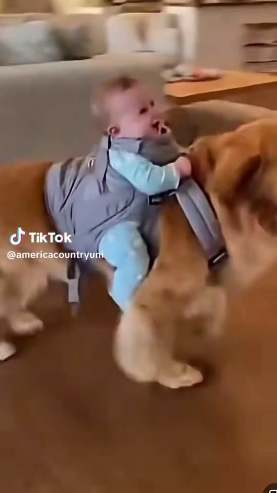 TikTok video thumbnail by hamadafadl179