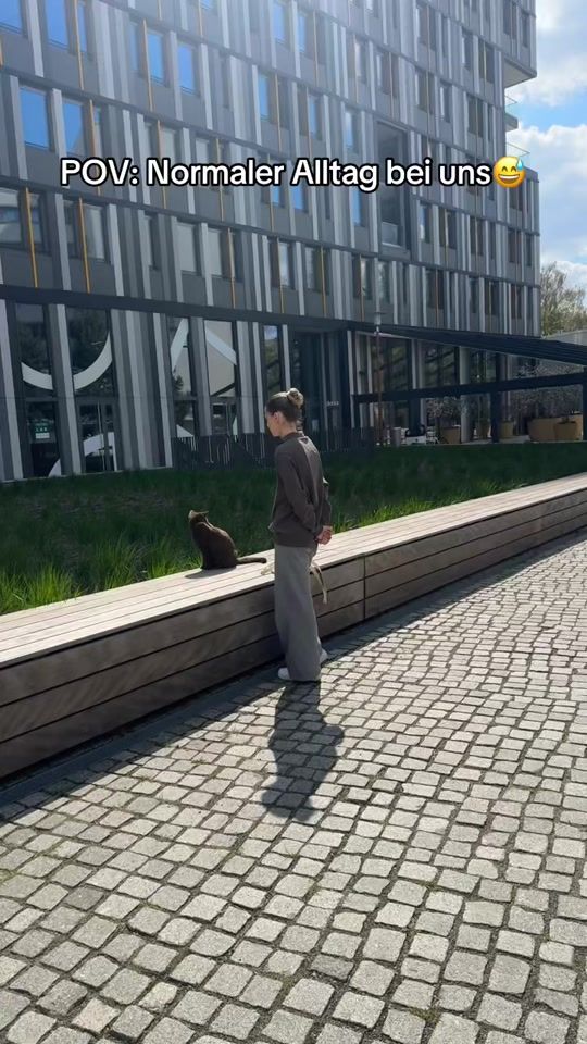 TikTok video thumbnail by emiliaa_.mr