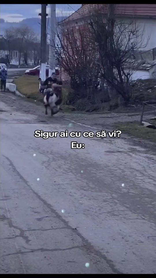 TikTok video thumbnail by d3toate