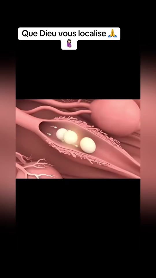 TikTok video thumbnail by aissata.doukoure
