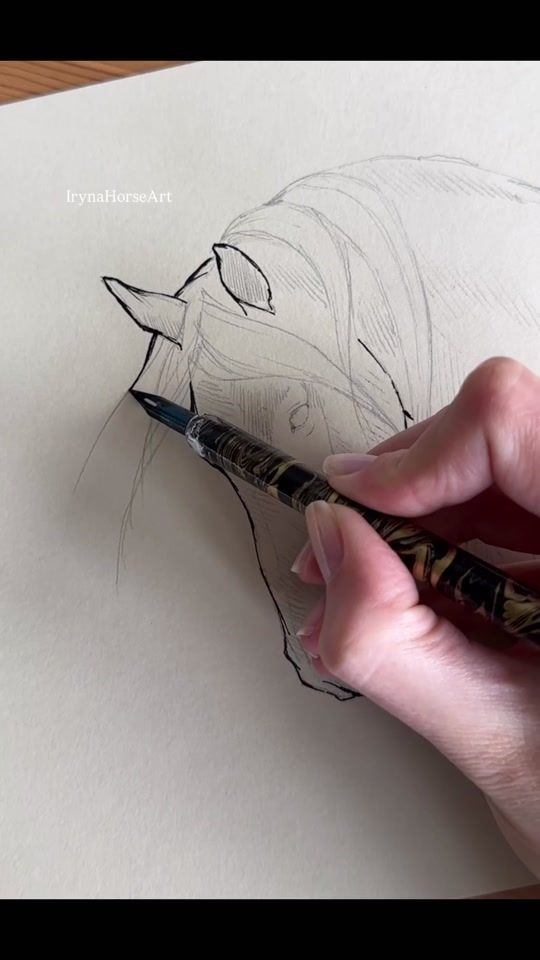 TikTok video thumbnail by irynahorseart