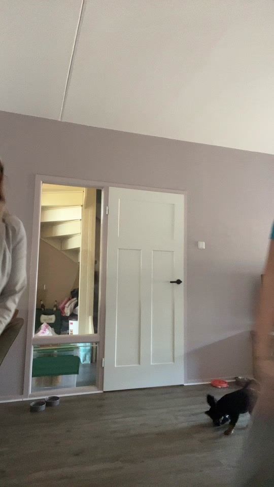 TikTok video thumbnail by reano1517