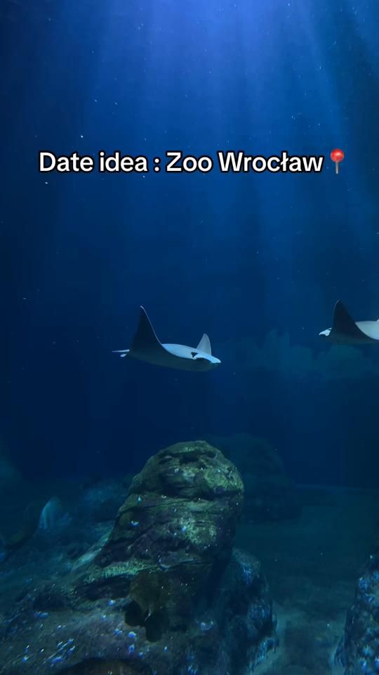 TikTok video thumbnail by ogfnikaa