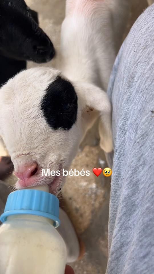 TikTok video thumbnail by nfaye19
