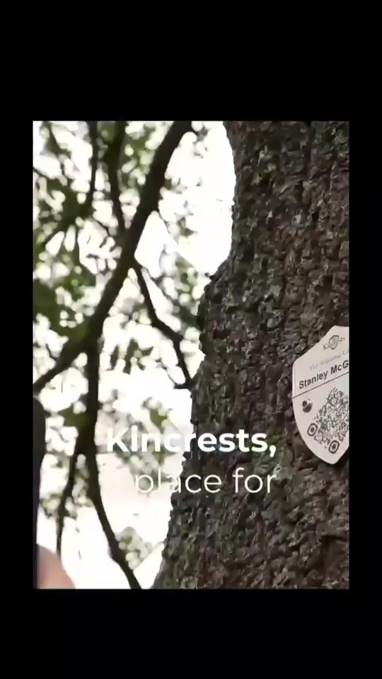 TikTok video thumbnail by kincrests