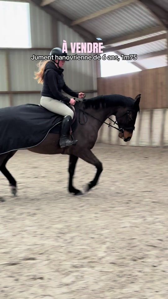 TikTok video thumbnail by t.p_horses