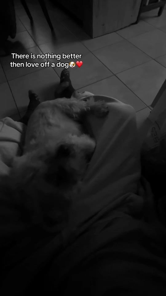 TikTok video thumbnail by deze_neffo