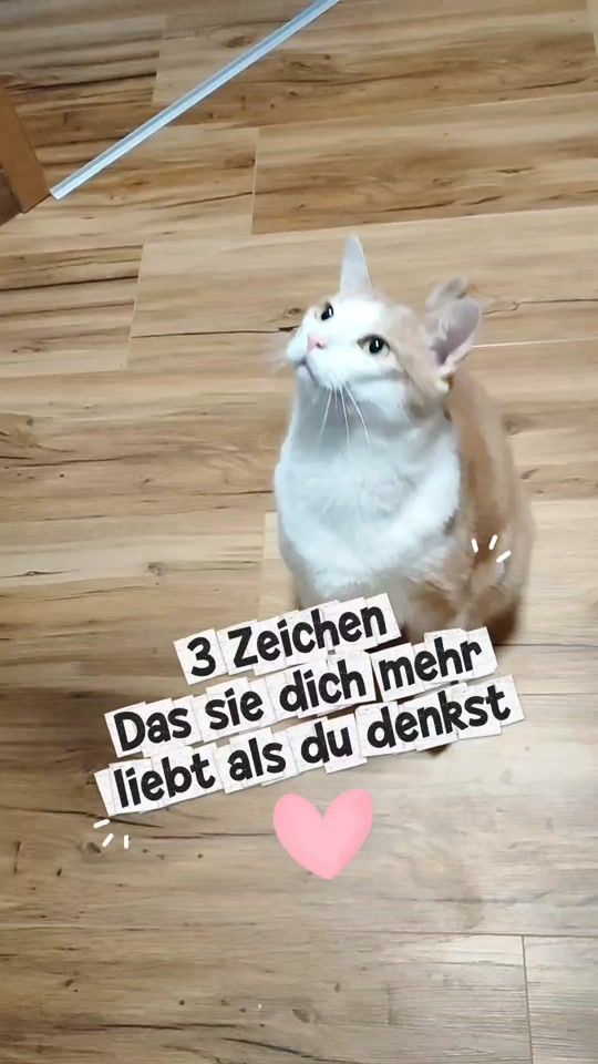 TikTok video thumbnail by _hejdine_