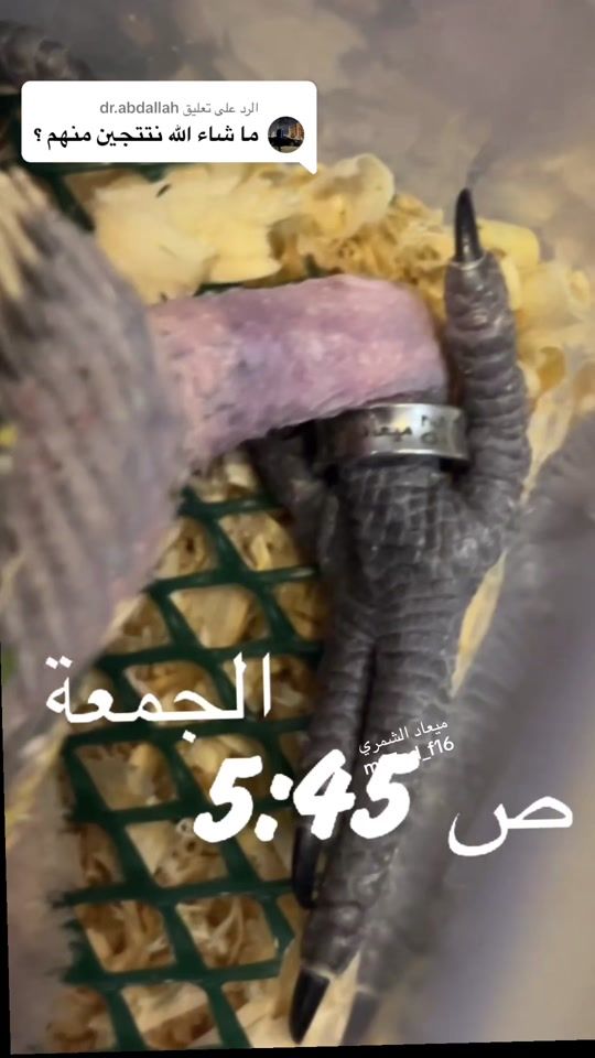 TikTok video thumbnail by me3ad_f16