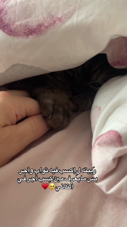 TikTok video thumbnail by sawsan_882