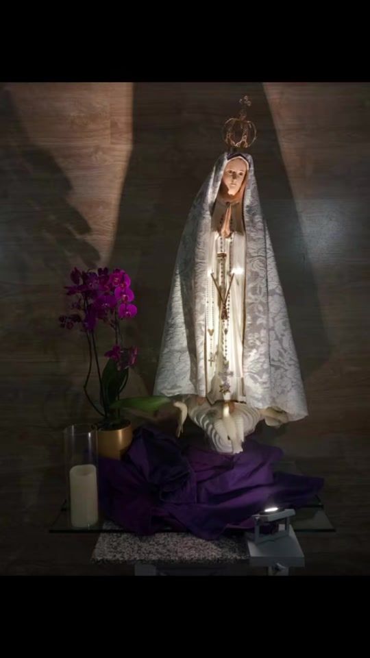 TikTok video thumbnail by rocarico