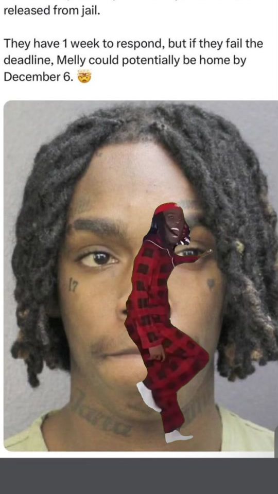 TikTok video thumbnail by ynwmellyfan107