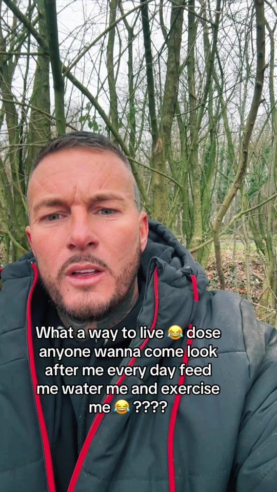 TikTok video thumbnail by wayneobear