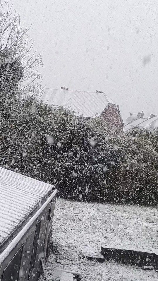 TikTok video thumbnail by catcat192002