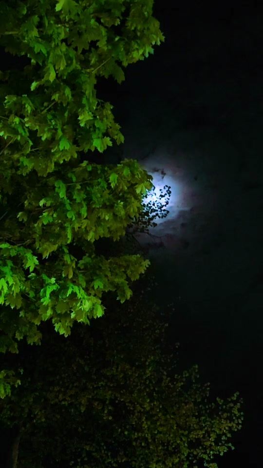 TikTok video thumbnail by natur.02