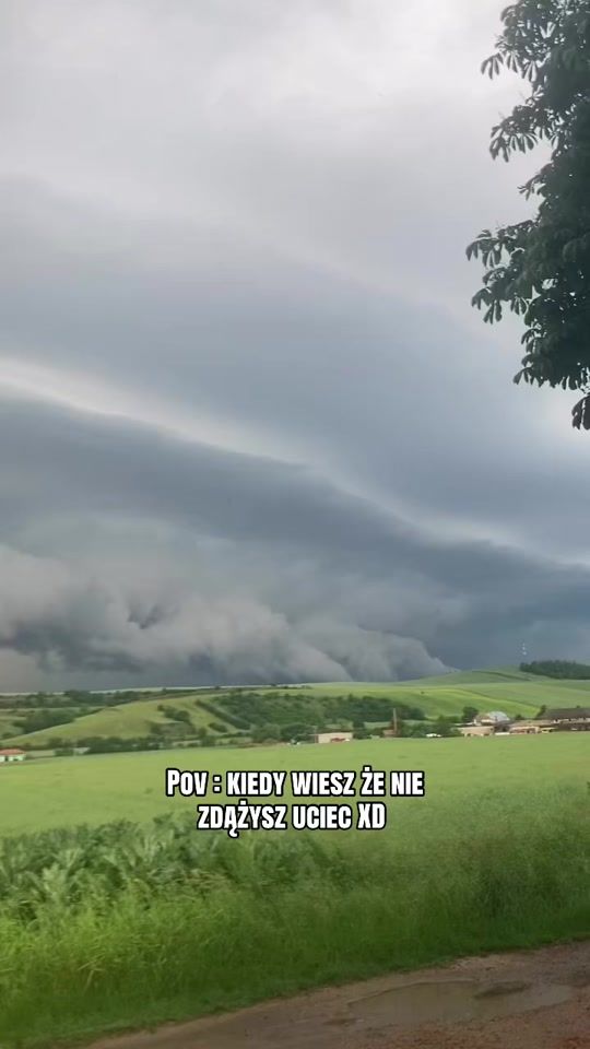 TikTok video thumbnail by hubistormhunter