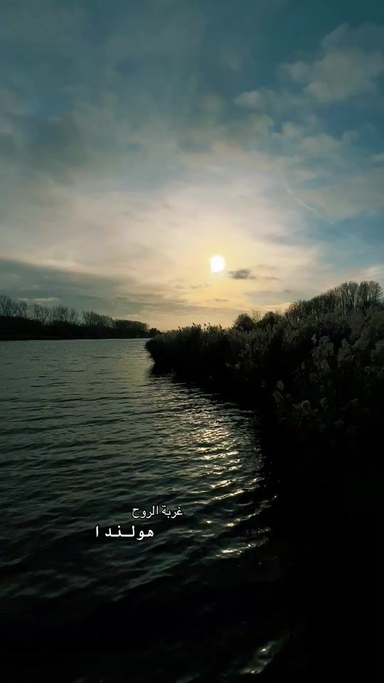 TikTok video thumbnail by cobra5648