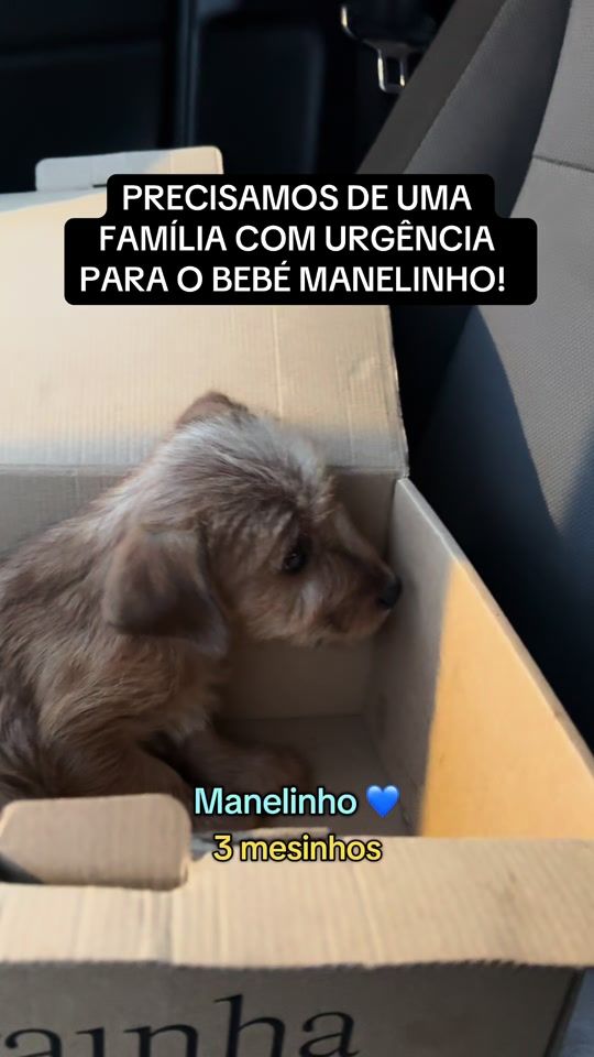 TikTok video thumbnail by alaar_associacao