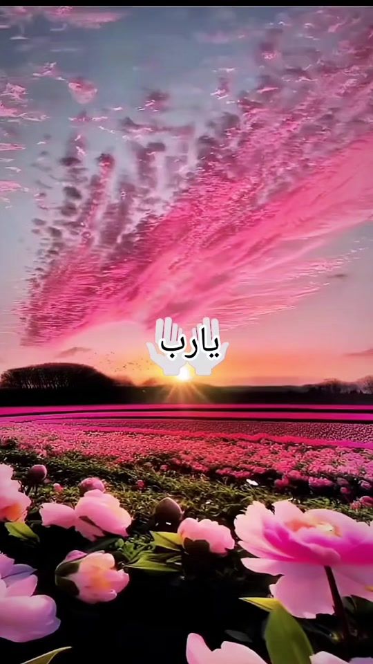 TikTok video thumbnail by rhman.8