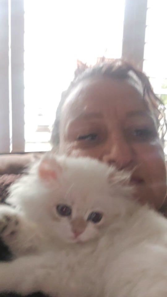 TikTok video thumbnail by justanne020