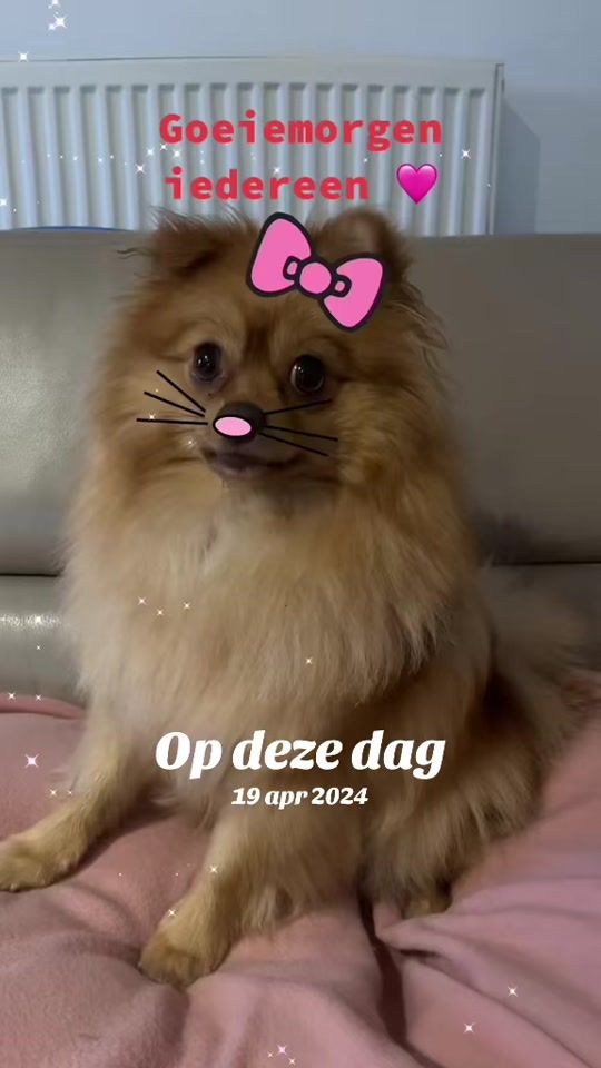 TikTok video thumbnail by mamadebbyke