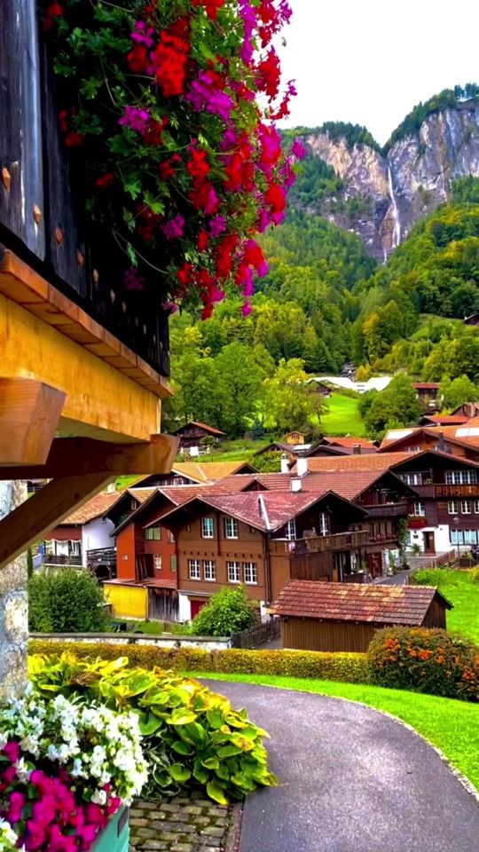 TikTok video thumbnail by swiss1091