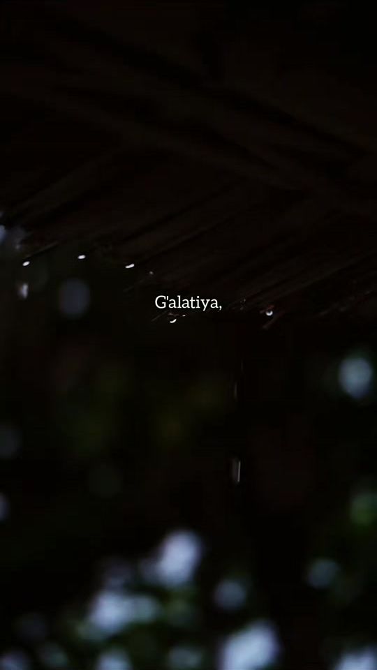 TikTok video thumbnail by muxtarchik5