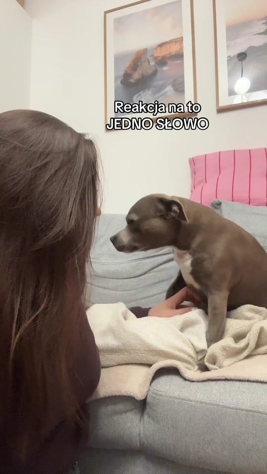 TikTok video thumbnail by kebabstaffik