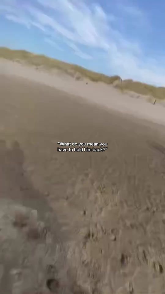 TikTok video thumbnail by loutsieex