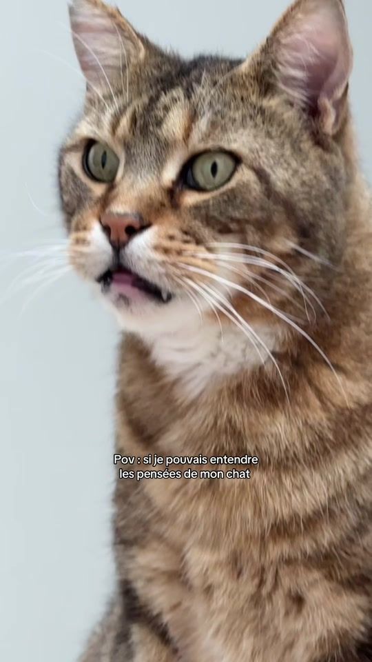 TikTok video thumbnail by magnatvx