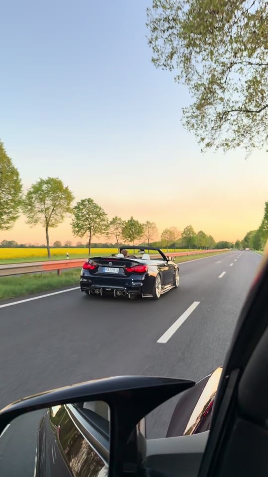 TikTok video thumbnail by sqp_hares