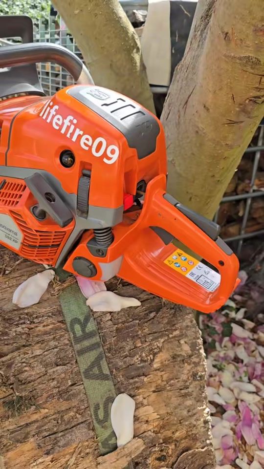 TikTok video thumbnail by lifefire09