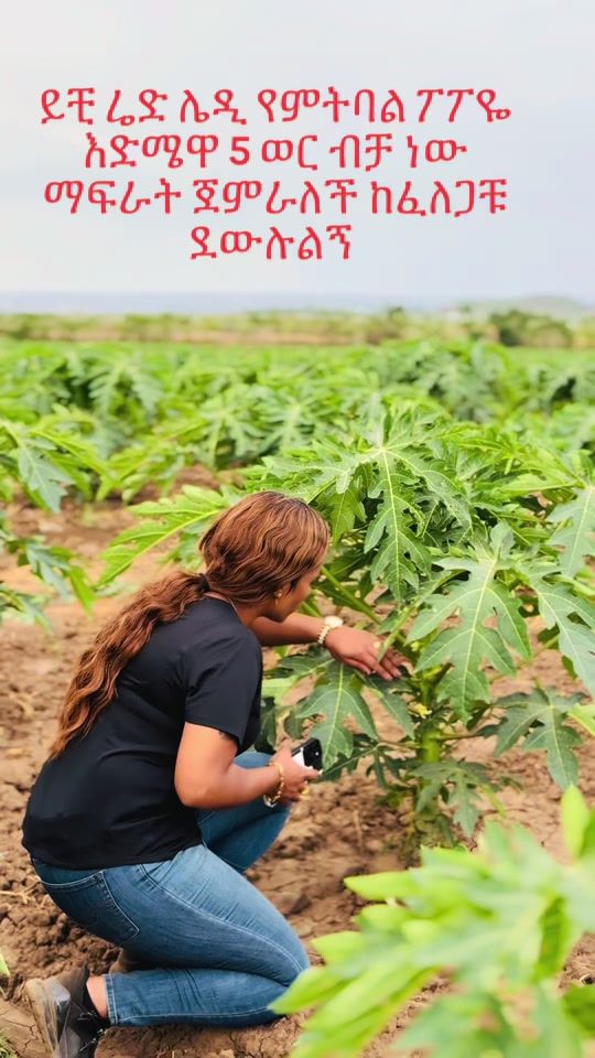 TikTok video thumbnail by beki_farmer