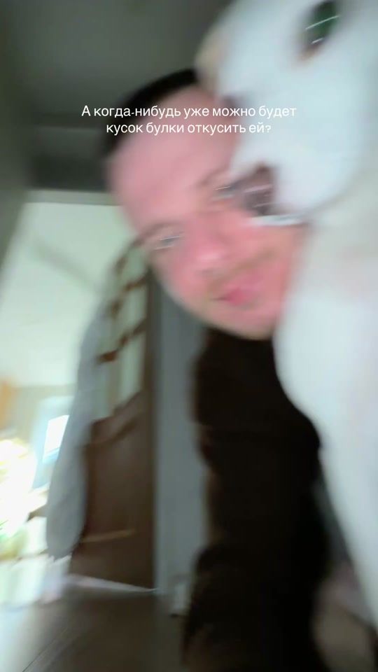 TikTok video thumbnail by skromnyanton