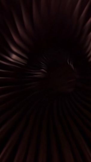 TikTok video thumbnail by mellohaep