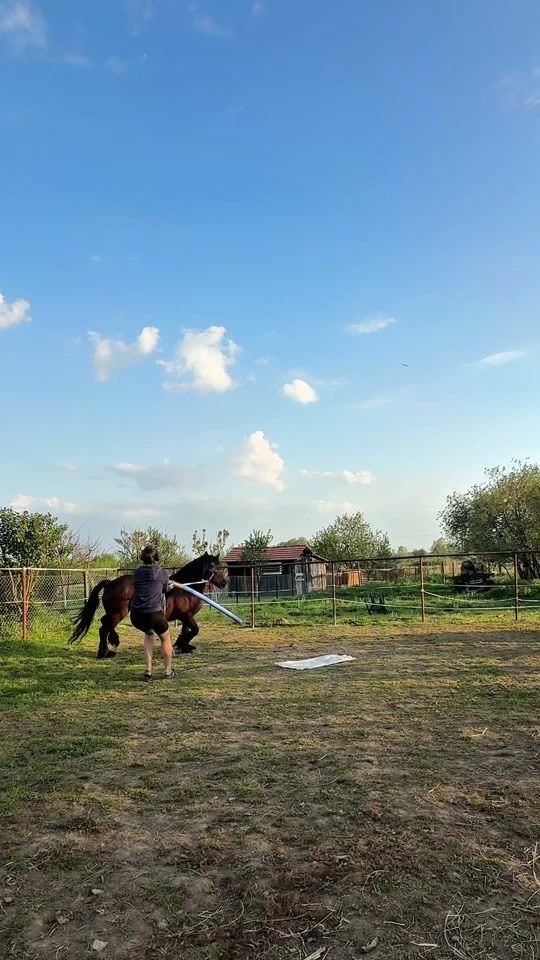 TikTok video thumbnail by nemafrkee