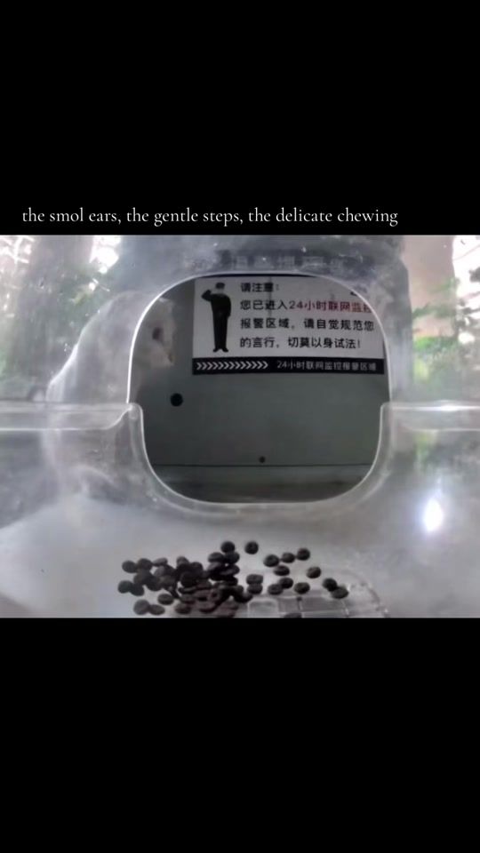 TikTok video thumbnail by jooooyie
