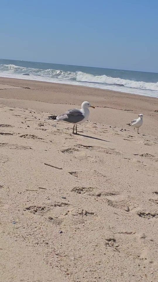 TikTok video thumbnail by luisinha1964