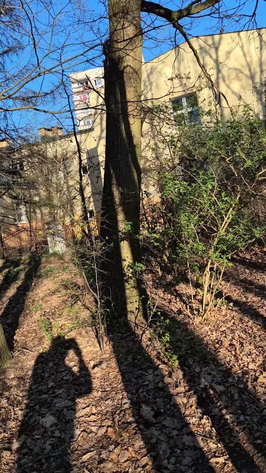 TikTok video thumbnail by infonaturaa