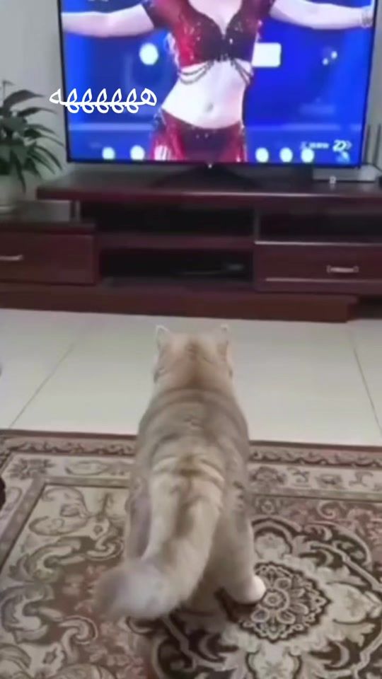 TikTok video thumbnail by baracoda1990