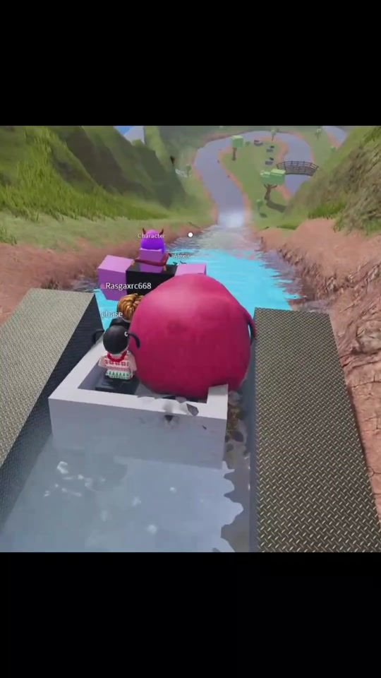 TikTok video thumbnail by gorga.the.bird