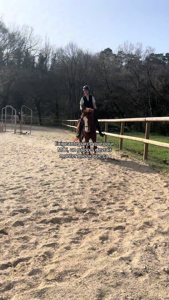 TikTok video thumbnail by aliona.horses