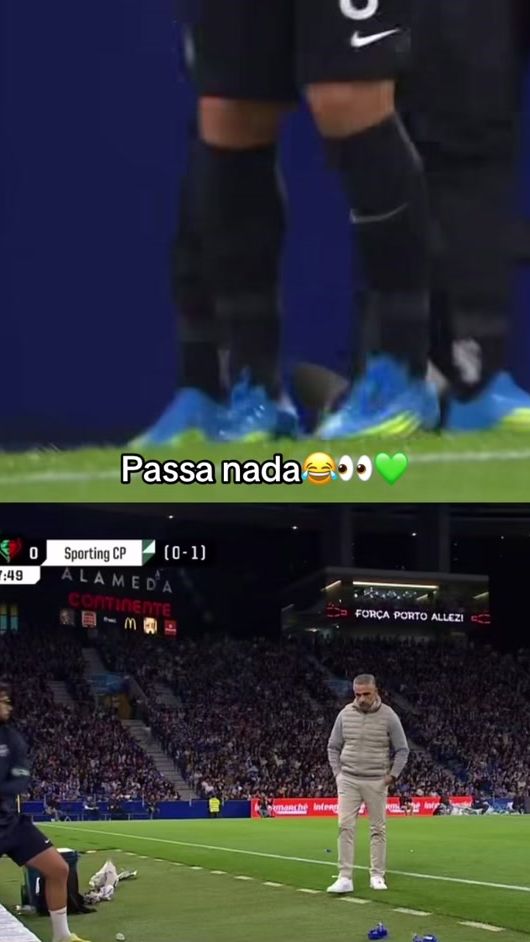 TikTok video thumbnail by feitodesorting