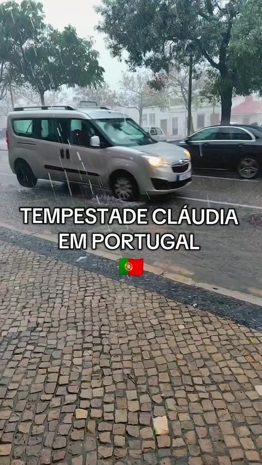 TikTok video thumbnail by euraquel41