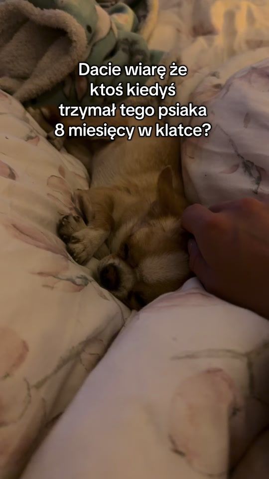 TikTok video thumbnail by jagodadabrowsk
