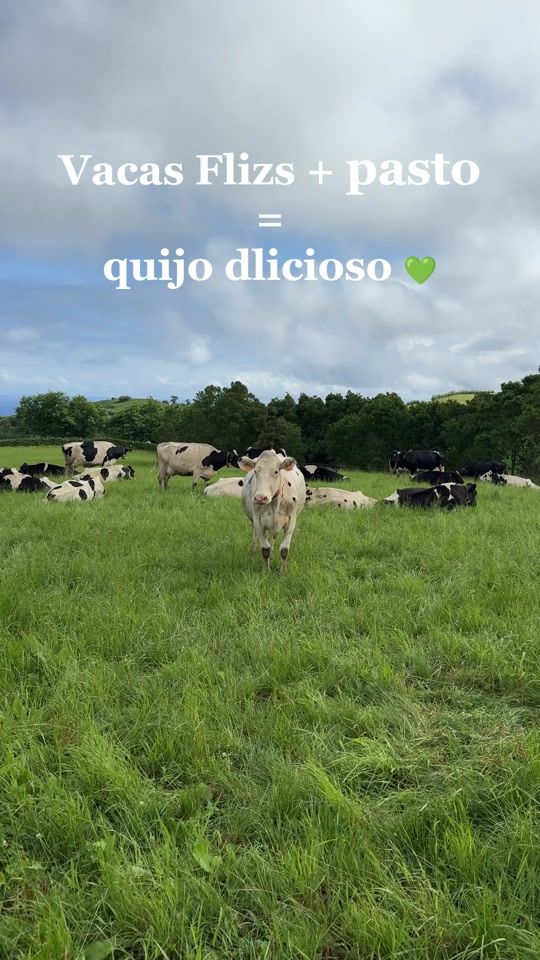 TikTok video thumbnail by terra_nostra_