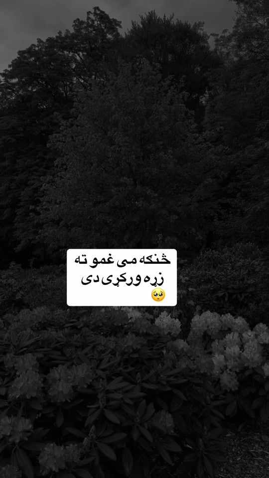 TikTok video thumbnail by d._prvxx